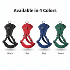 4 Color Options