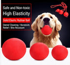 Durable Rubber Dog Ball Toy for Aggressive Chewers - Solid Elastic Teething Ball