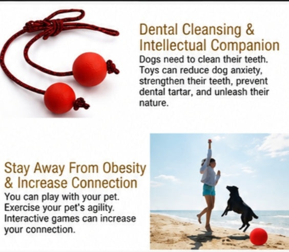 Durable Rubber Dog Ball Toy for Aggressive Chewers - Solid Elastic Teething Ball