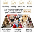 Teething Toy Set – Durable Rubber Ball & Chew Toys for Dogs