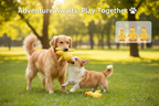 Adventure Awaits, Play Together