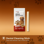 Dental Cleaning Stick