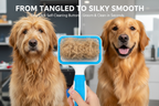 Grooming Before After