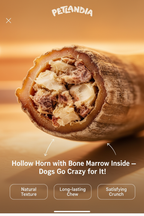 Hollow Horn