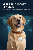 Round pet tracker attached to a dog collar