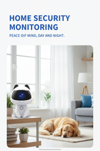 V380 Pro pet camera monitoring a bright living room