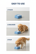Three steps showing how to place, introduce, and play with the blue pet toy