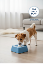 Small dog discovering the blue interactive pet toy