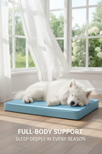 White dog sleeping on a supportive light-blue pet bed