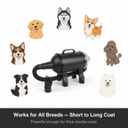 2-in-1 Pet Grooming Blower & Vacuum — High Power, Large Capacity (Midnight Black)