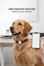 Dog wearing a collar with a tracker and owner using a smartphone