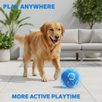 Dog playing with a glowing blue smart ball outdoors