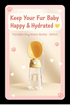 Keep Your Fur Baby Happy and Hydrated