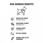 Key Benefits