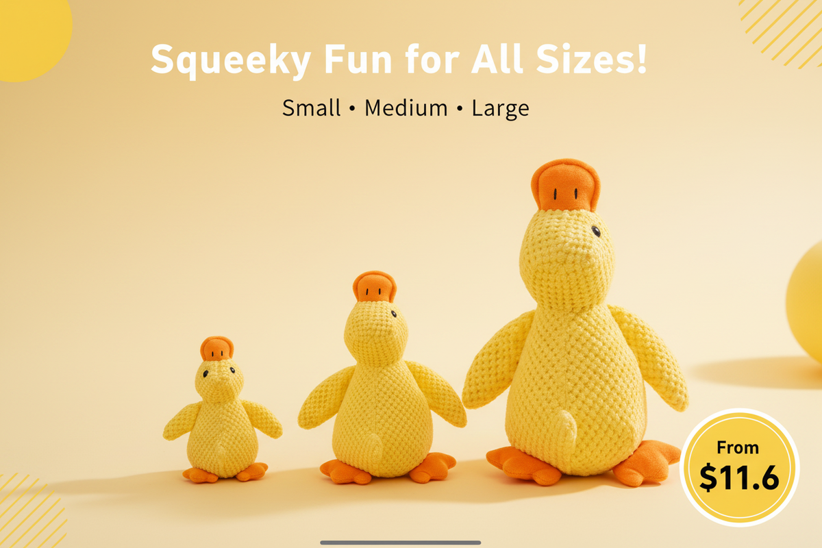 Squeaky Fun for All Sizes